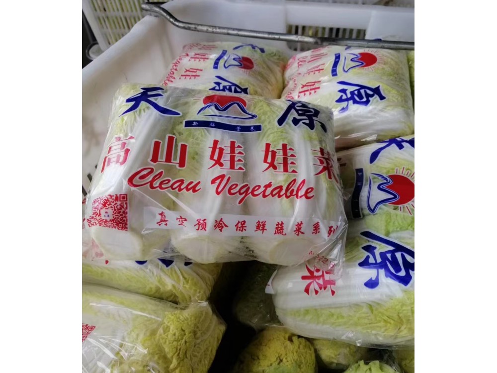 中國甘肅金昌國內(nèi)最的娃娃種植、加工基地，大型高端真空預(yù)冷機(jī)安裝完成。