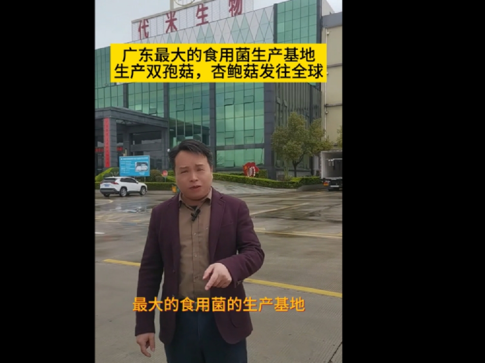 廣東最大的食用菌生產(chǎn)基地，代米生物真空預(yù)冷機使用現(xiàn)場